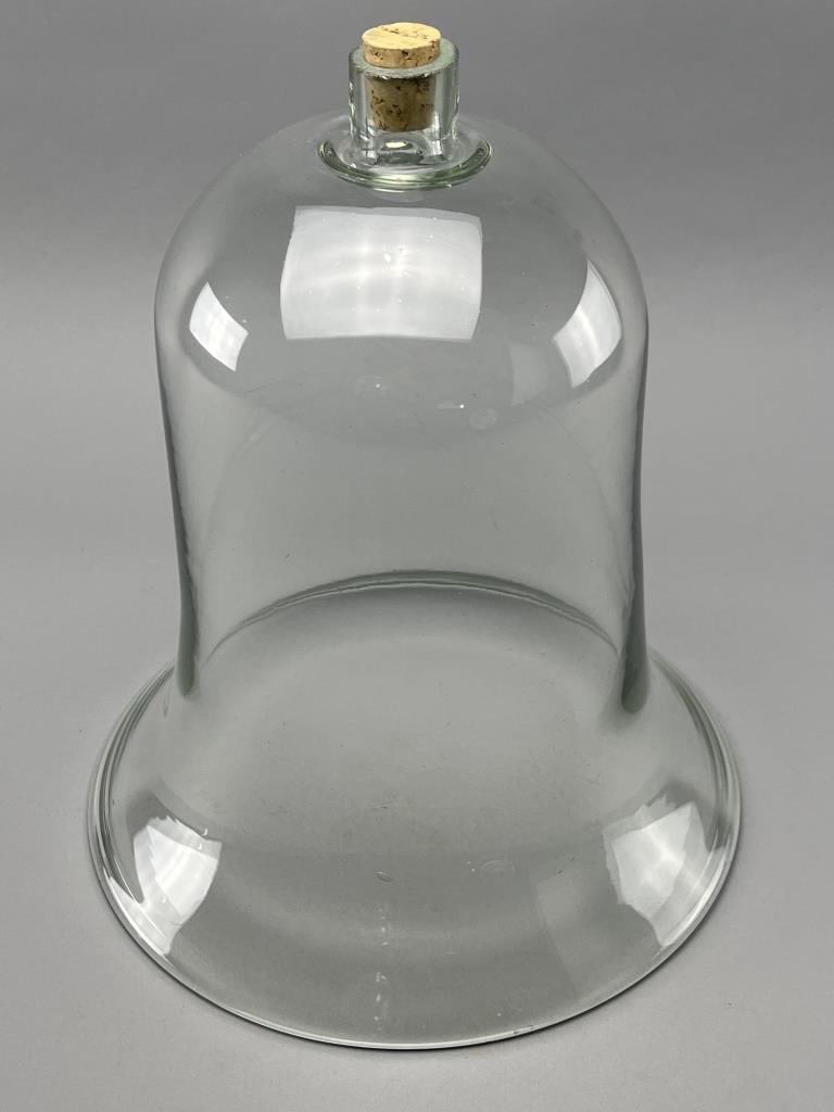 Bell Shaped Apothecary Glass Dome: Dome has cork on top. Glass dome measures 13" x 13" x 15".