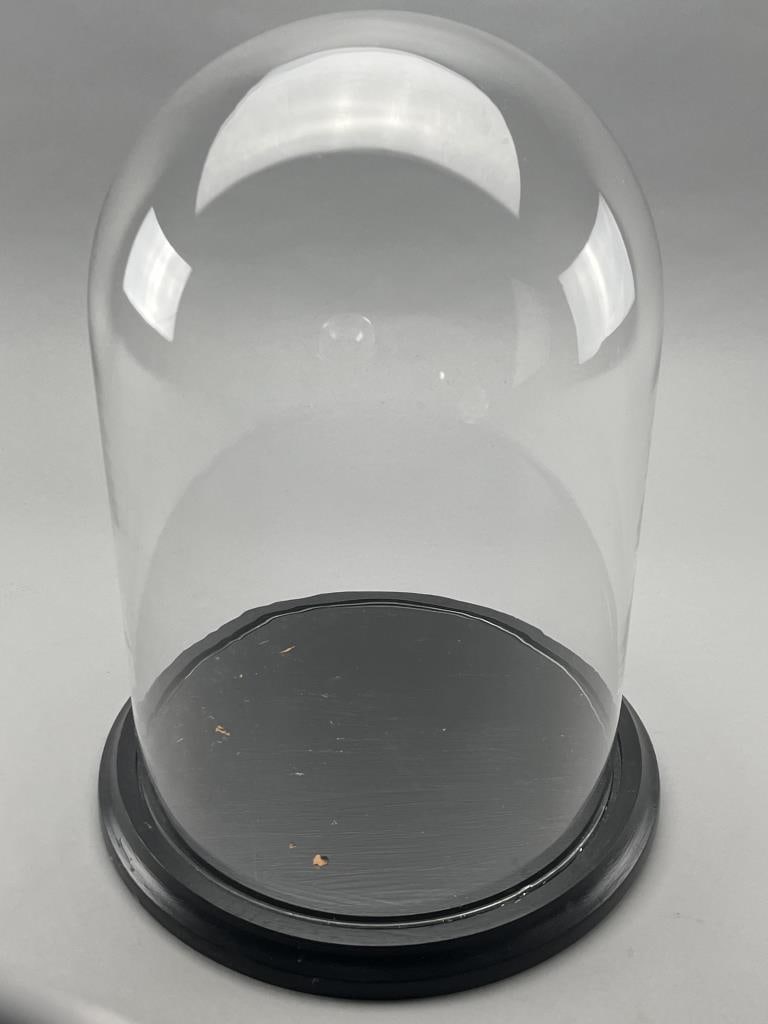 16" Large Glass Display Dome With Wood Base (1 of 2)