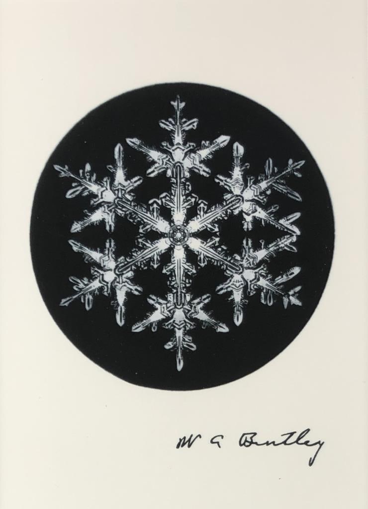 Wilson A. Bentley Snowflake Print: Wilson A. Bentley (American, 1865 - 1931), snowflake print, reproduced from an original photomicrograph from the archives of the Jericho Historical Society by Vermont Snowflakes, includes information