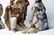 LLADRO 6 PC NATIVITY - 3