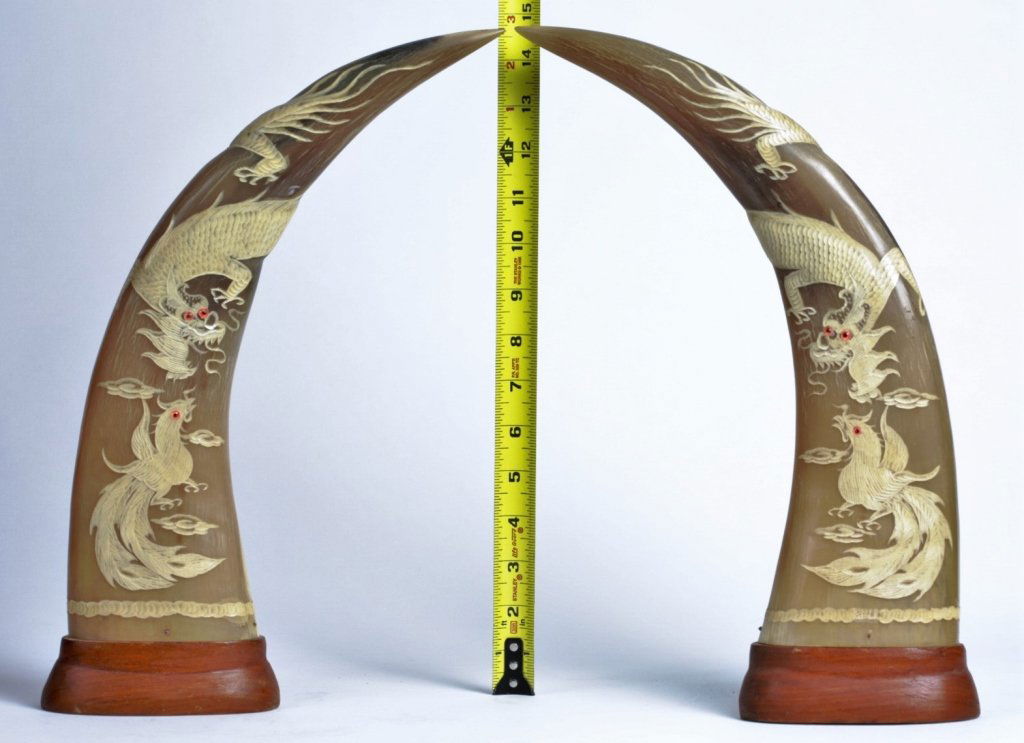PAIR OF WATER BUFFALO HORN CARVINGS (1 of 6)
