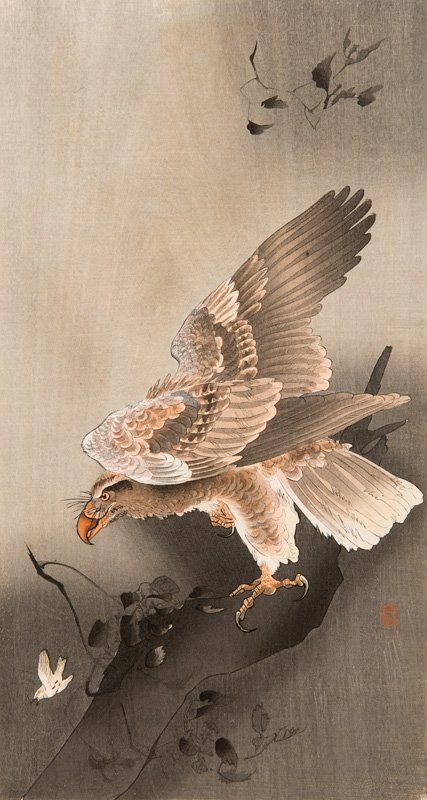 Ohara Koson (Sh?son) (1877-1945), 'Eagle', Japanese: Ohara Koson (Sh?son) (1877-1945), 'Eagle', Japanese woodblock, ca. 1910. HxW. 35 x 19 cm.