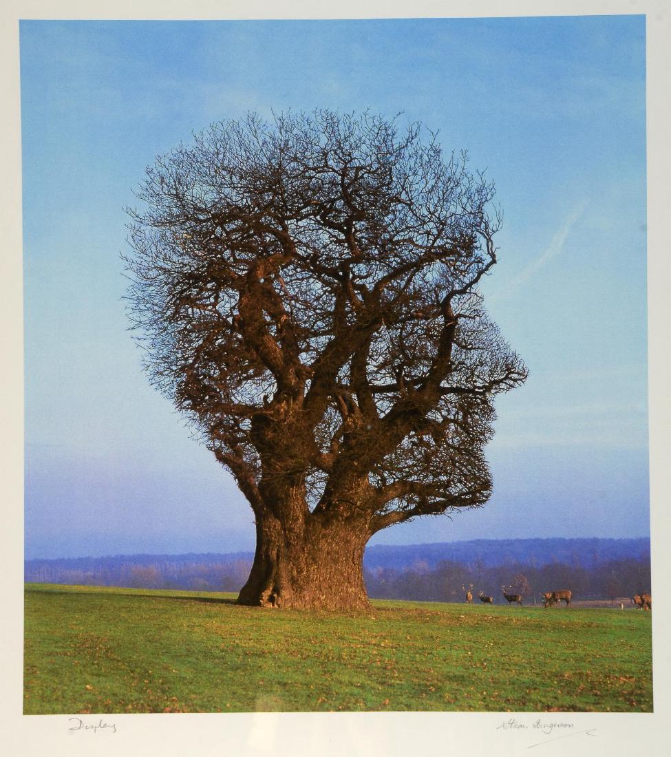 Storm Thorgerson (British, 1944-2013). ' (1 of 1)