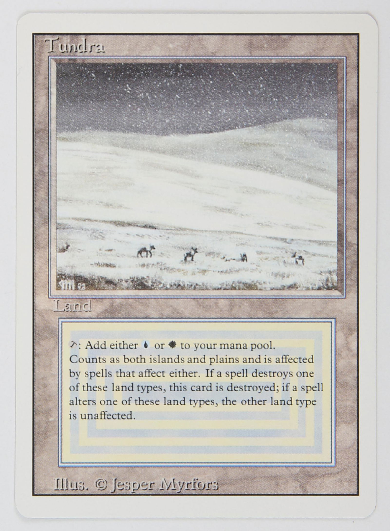 Magic The Gathering - Tundra - Revised (1994) This (1 of 2)