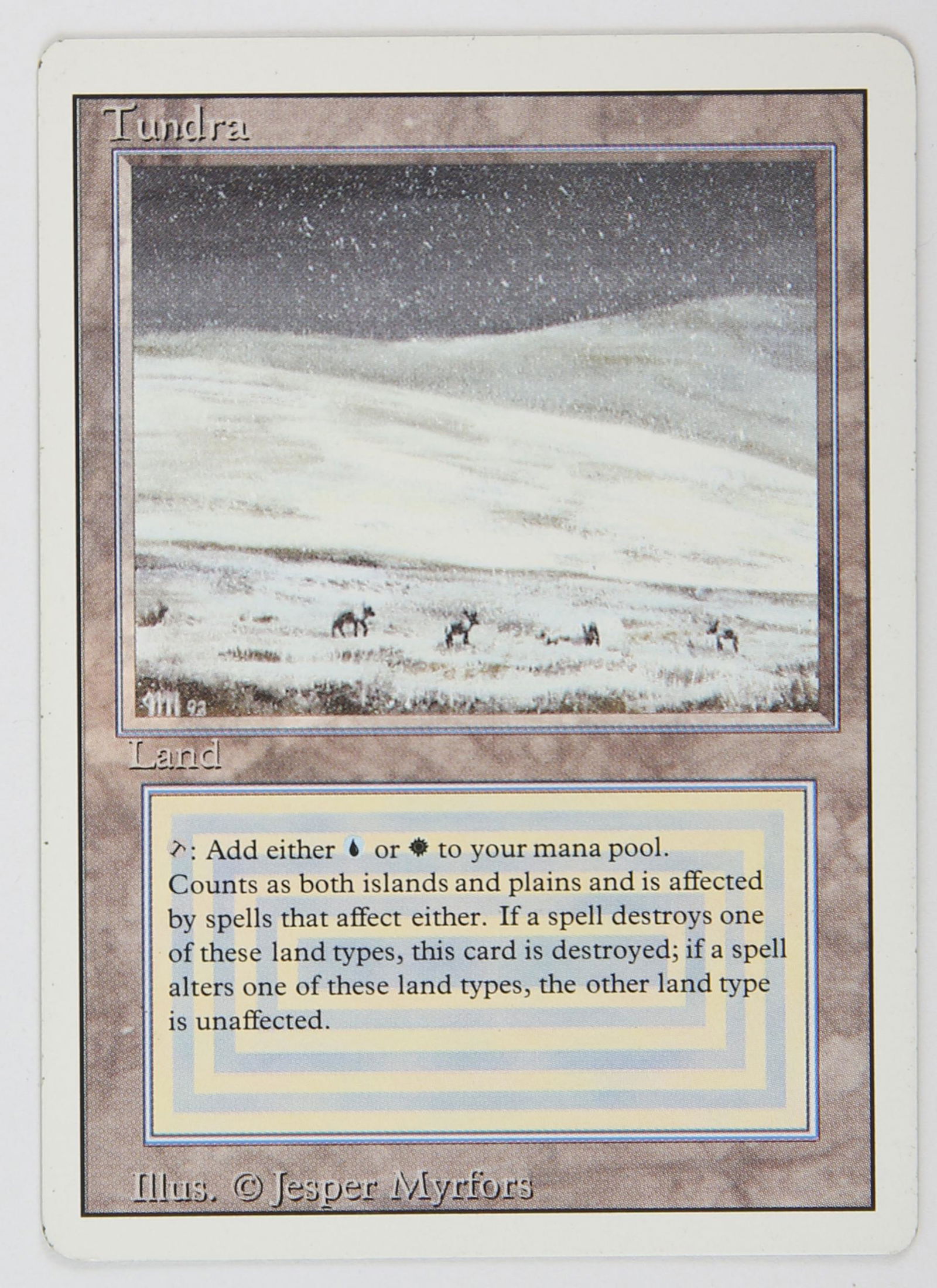 Magic The Gathering - Tundra - Revised (1994) This (1 of 2)