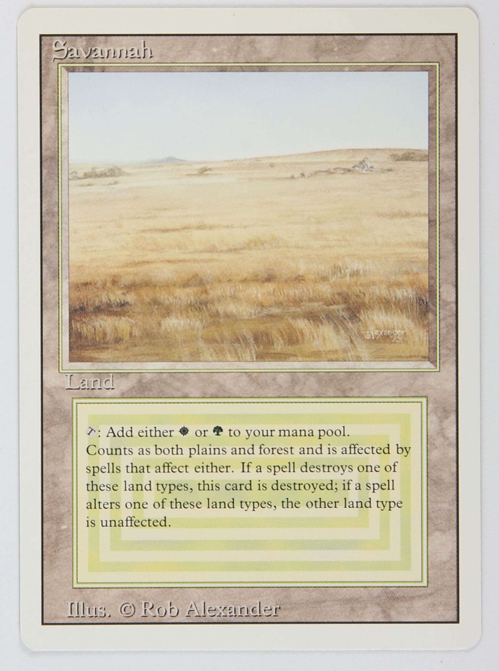 Magic The Gathering - Savannah - Revised (1994)Thi (1 of 2)