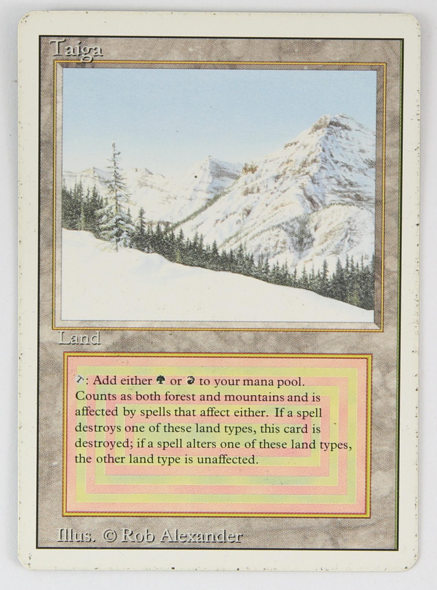 Magic The Gathering - Taiga - Revised (1994)This c (1 of 2)