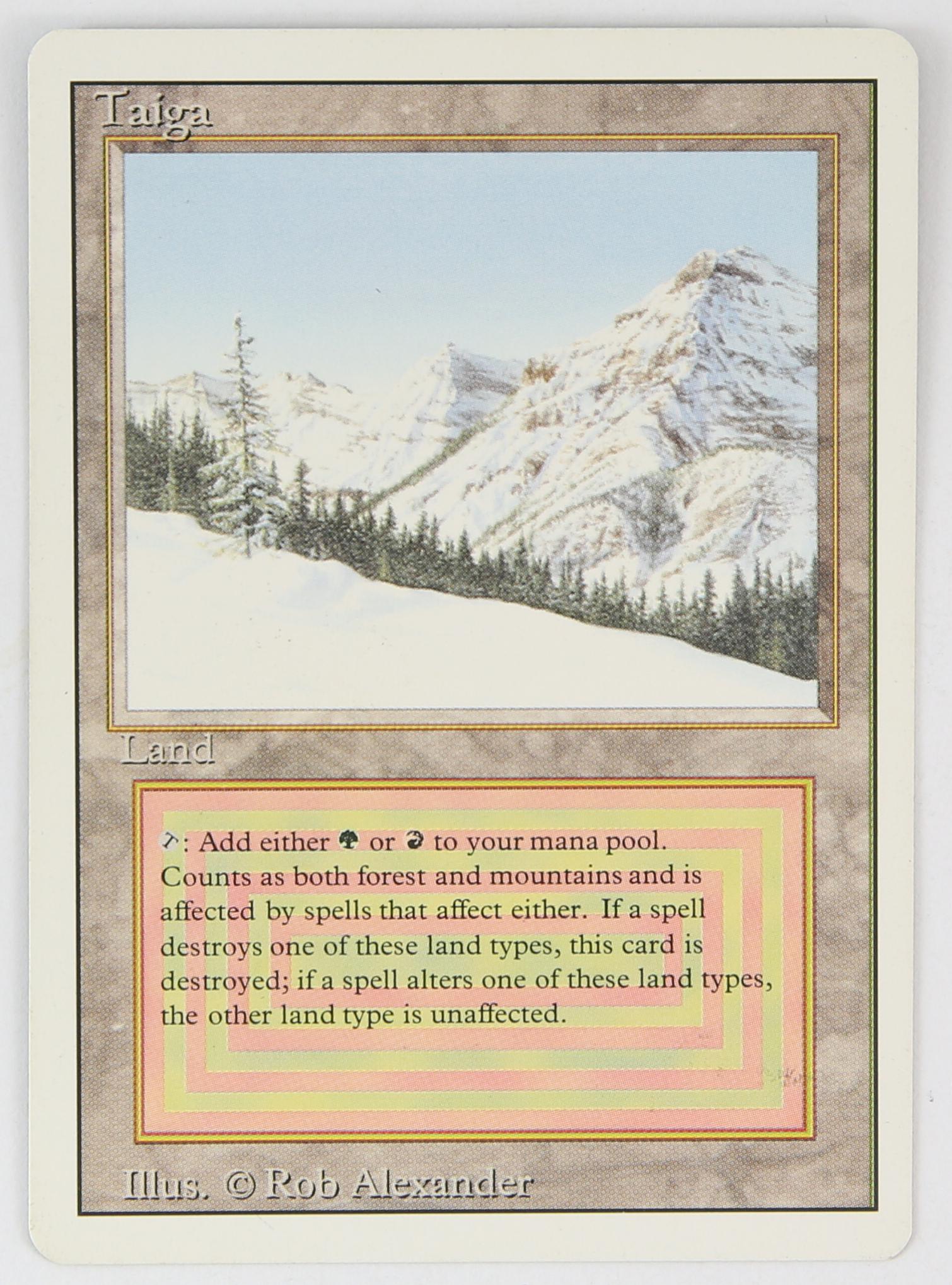 Magic The Gathering - Taiga - Revised (1994) This (1 of 2)