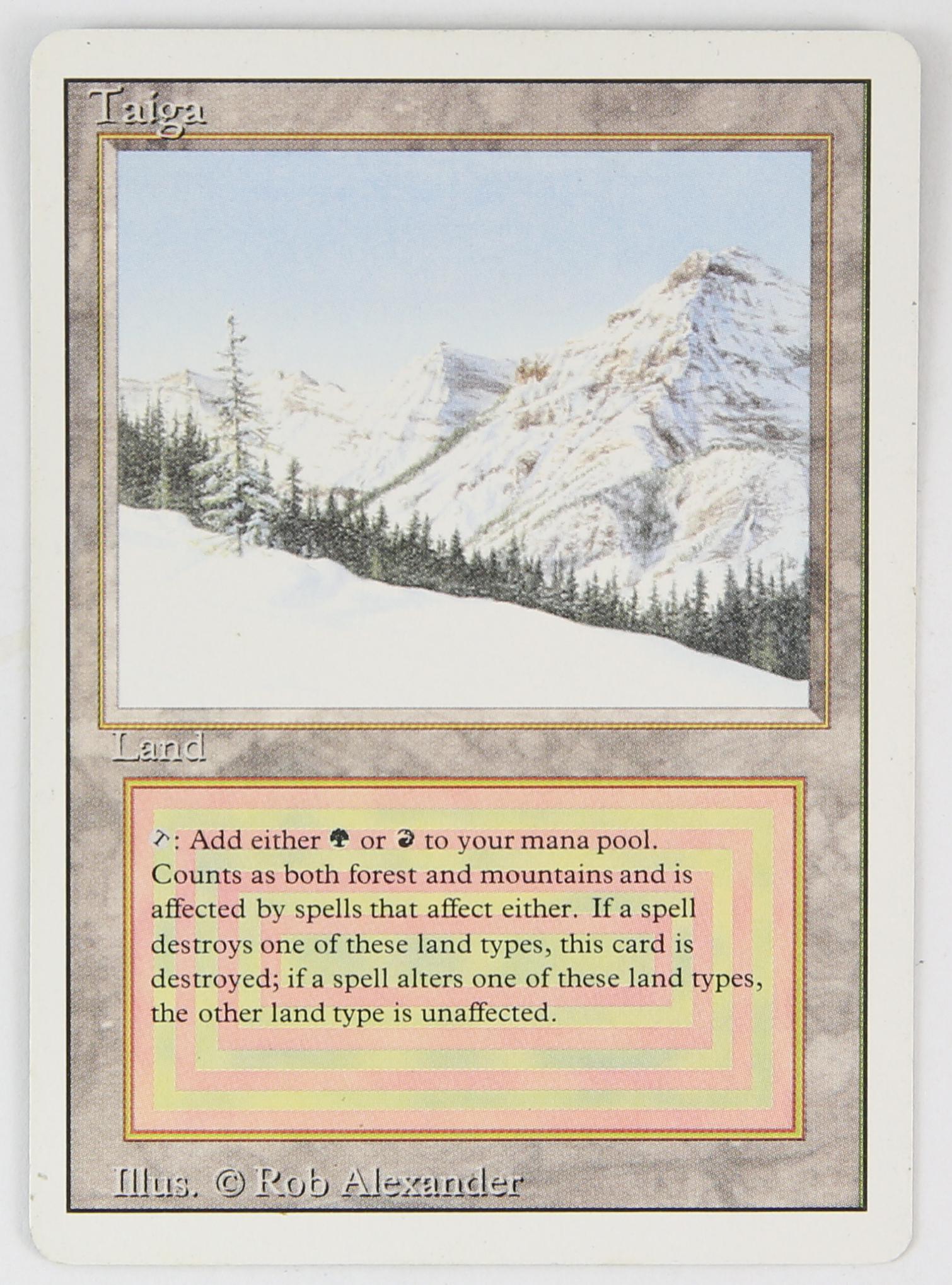 Magic The Gathering - Taiga - Revised (1994) This (1 of 2)
