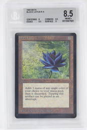 Magic The Gathering TGC.