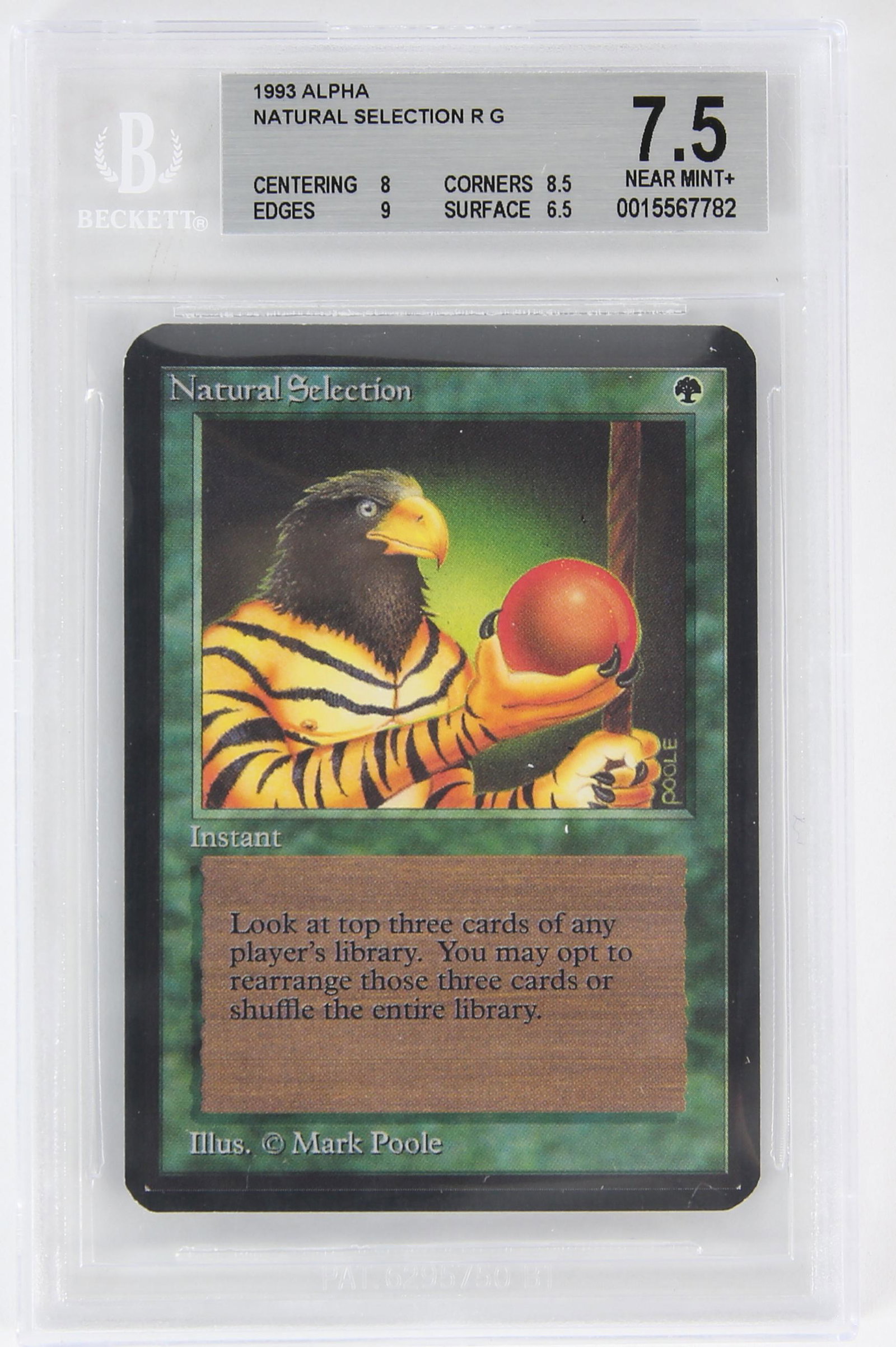 Magic The Gathering TCG. (1 of 2)