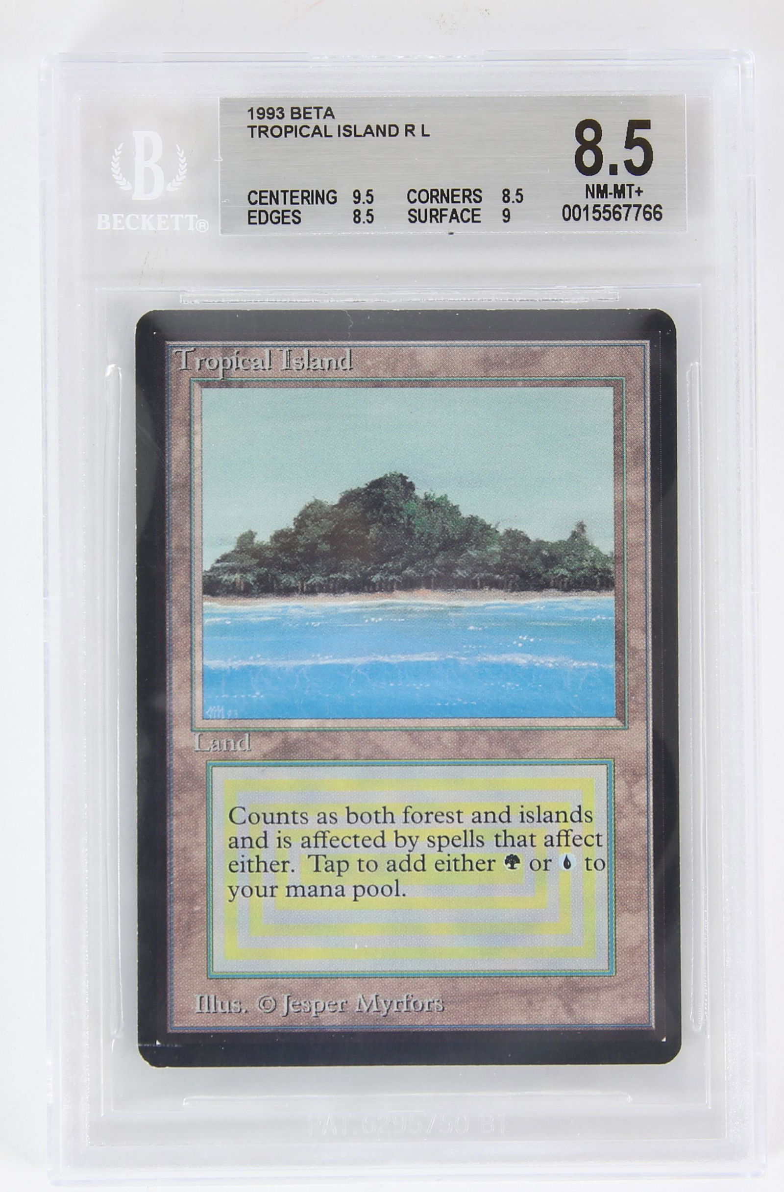 Magic The Gathering TCG. (1 of 2)