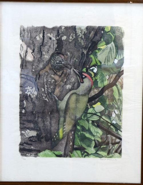 Robert Hainard, print "Pic verte nourissant", Green: Robert Hainard, print "Pic verte nourissant", Green woodpecker feeding young, 14" x 11", 16/45, Tryon Gallery label verso