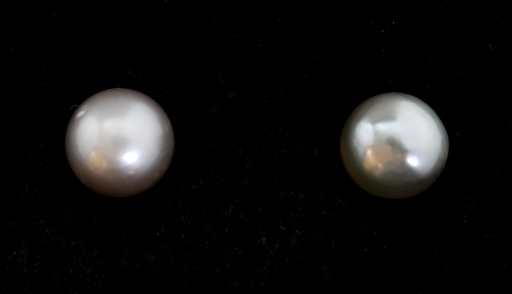 A pair of Tahitian pearl stud earrings m: A pair of Tahitian pearl stud earrings measuring approximately 13.30mm each mounted in yellow metal tested as 9ct