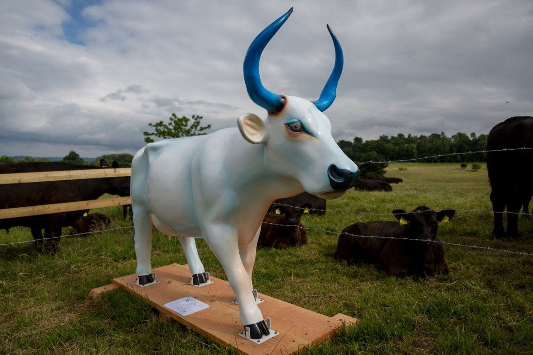 † Sacred Cow - Standing Cow. Artist: Peter Haslam-Fox.: † Sacred Cow - Standing Cow. Artist: Peter Haslam-Fox. Sponsor: AB Alarms. Charity: L’Arche, Tecklenburg, Germany. †Please note that net proceeds are split between Surrey Hills Trust and the Cha