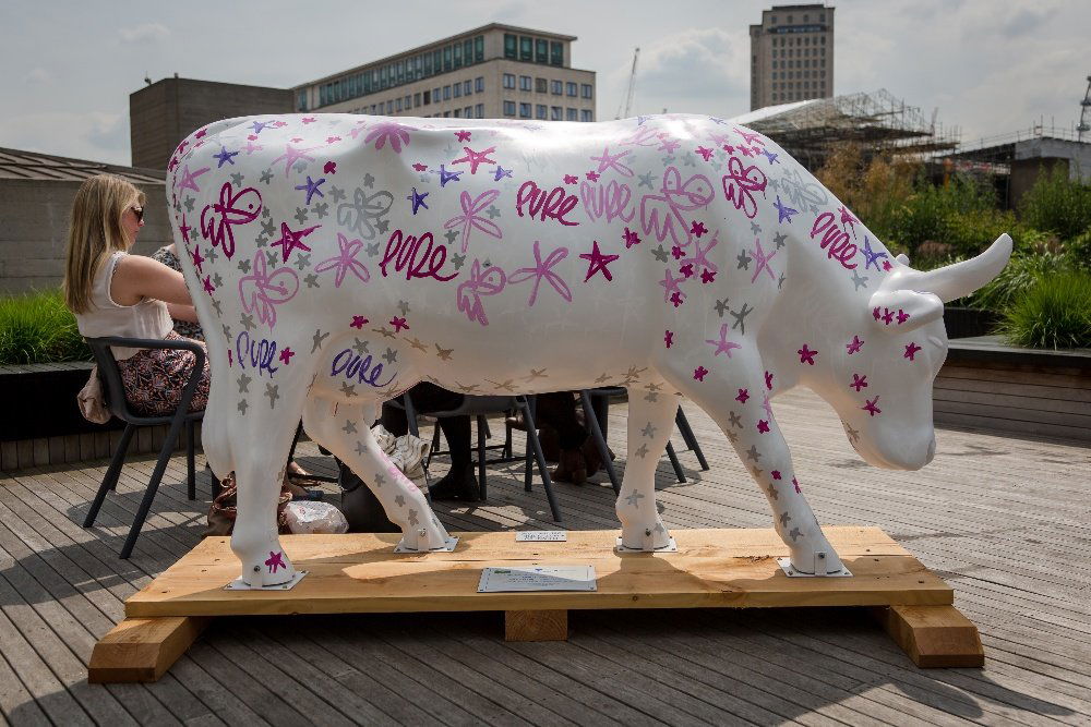 † The Star Cow - Pure Evil AKA Charles Uzzell Edwards,: † The Star Cow - Pure Evil AKA Charles Uzzell Edwards, painted this quirky cow. Pure Evil is globally recognised for his street art and Warhol-esque portraiture. The design is covered with fanged bu