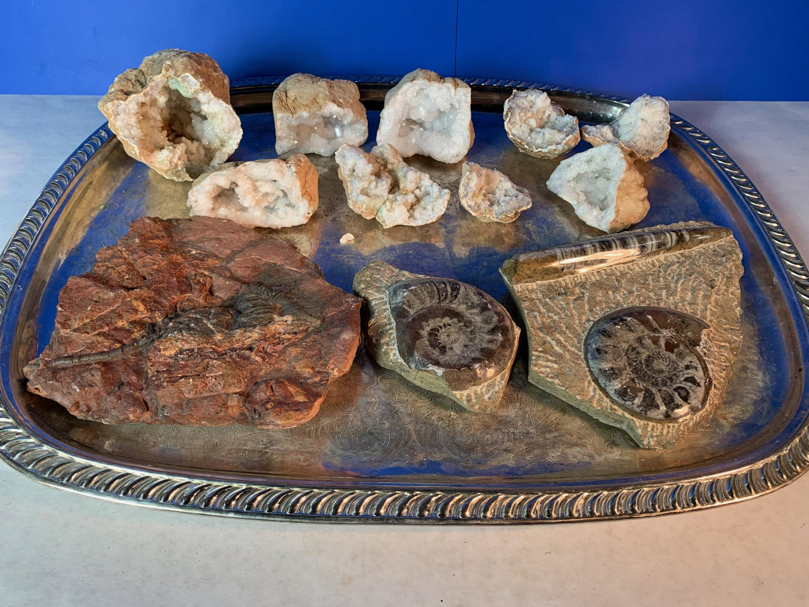 Collection of Geodes and Fossilized Polished Stone: Collection of Freeform Agat Geode and Fossilized Stone