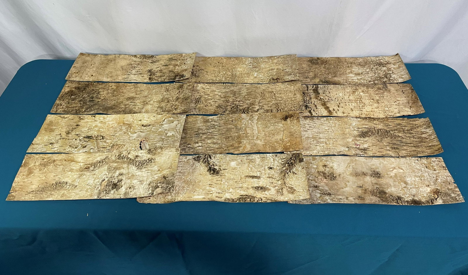 12 Birch Bark Pieces: 20 1/2in L x 6 3/4in W