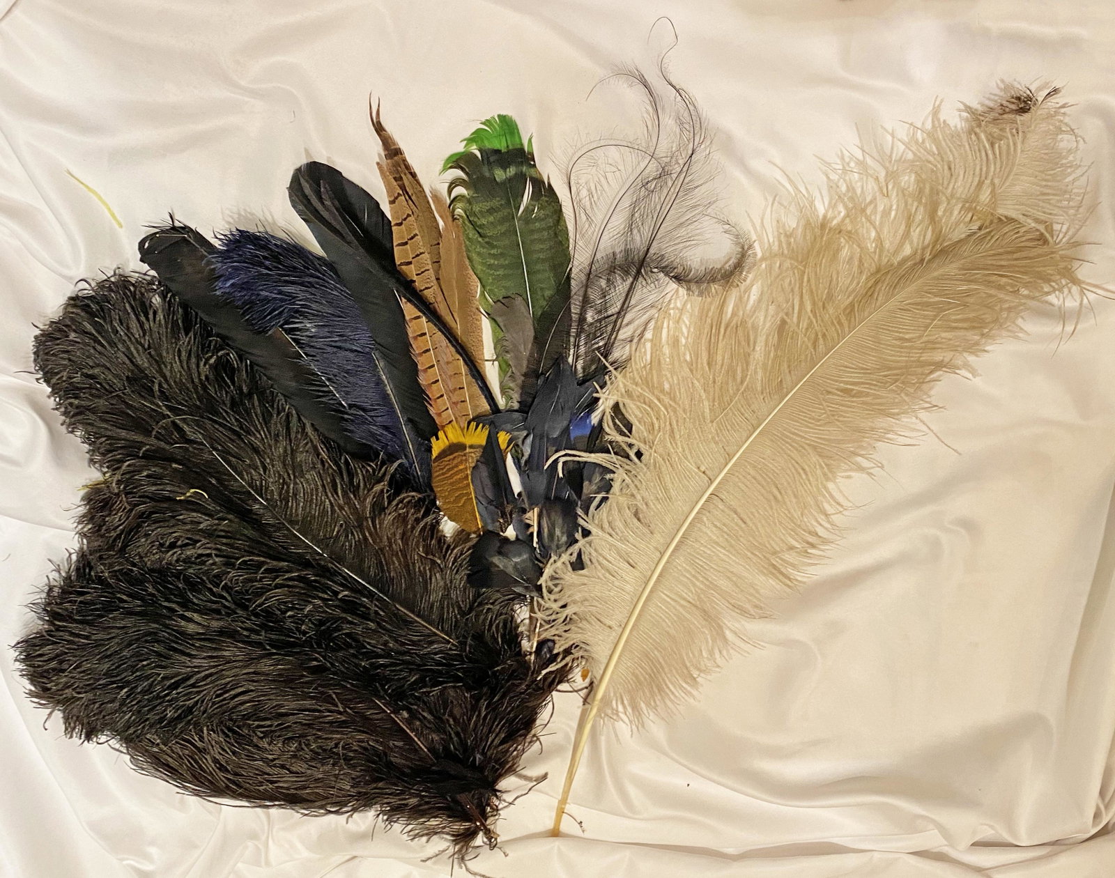 Collection Victorian Feathers: Tallest is over 12in