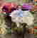 item-100341550=2