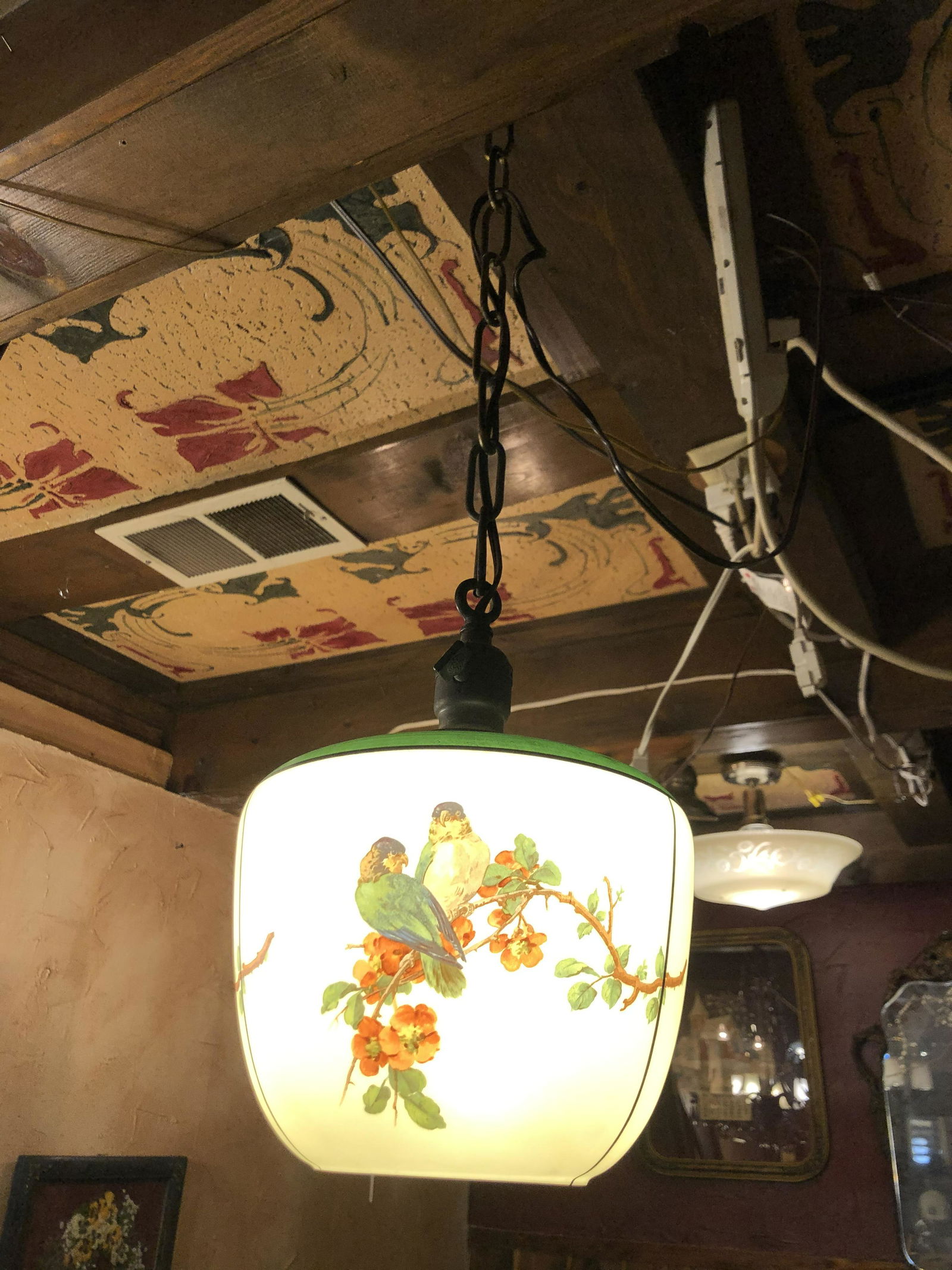 Art Deco Light Fixture Birds parakeet (1 of 6)