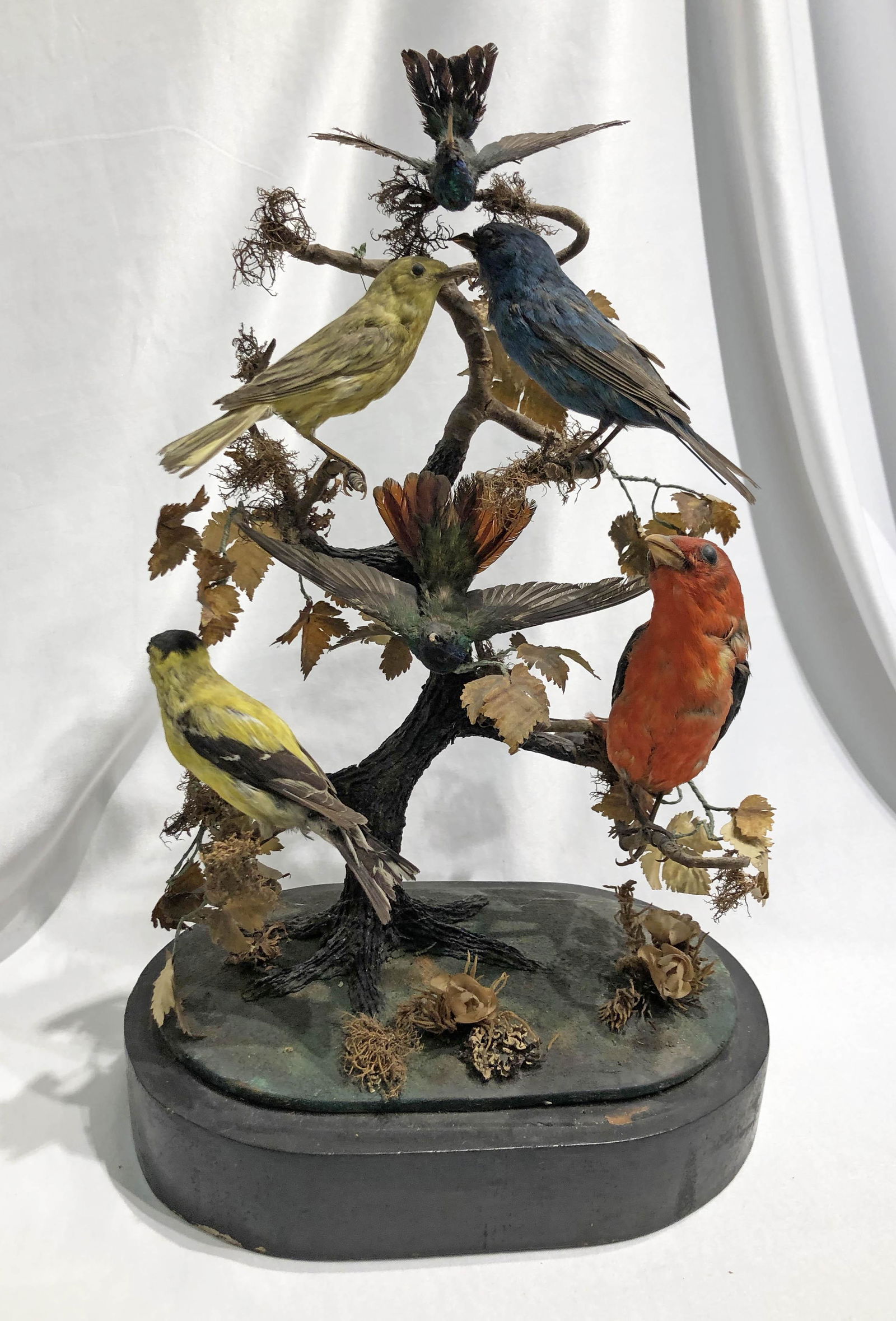 Victorian Birds Collection (1 of 5)