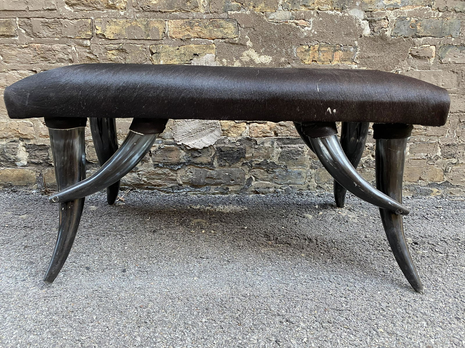 Cattle Steer Horn & Hide Bench (1 of 4)