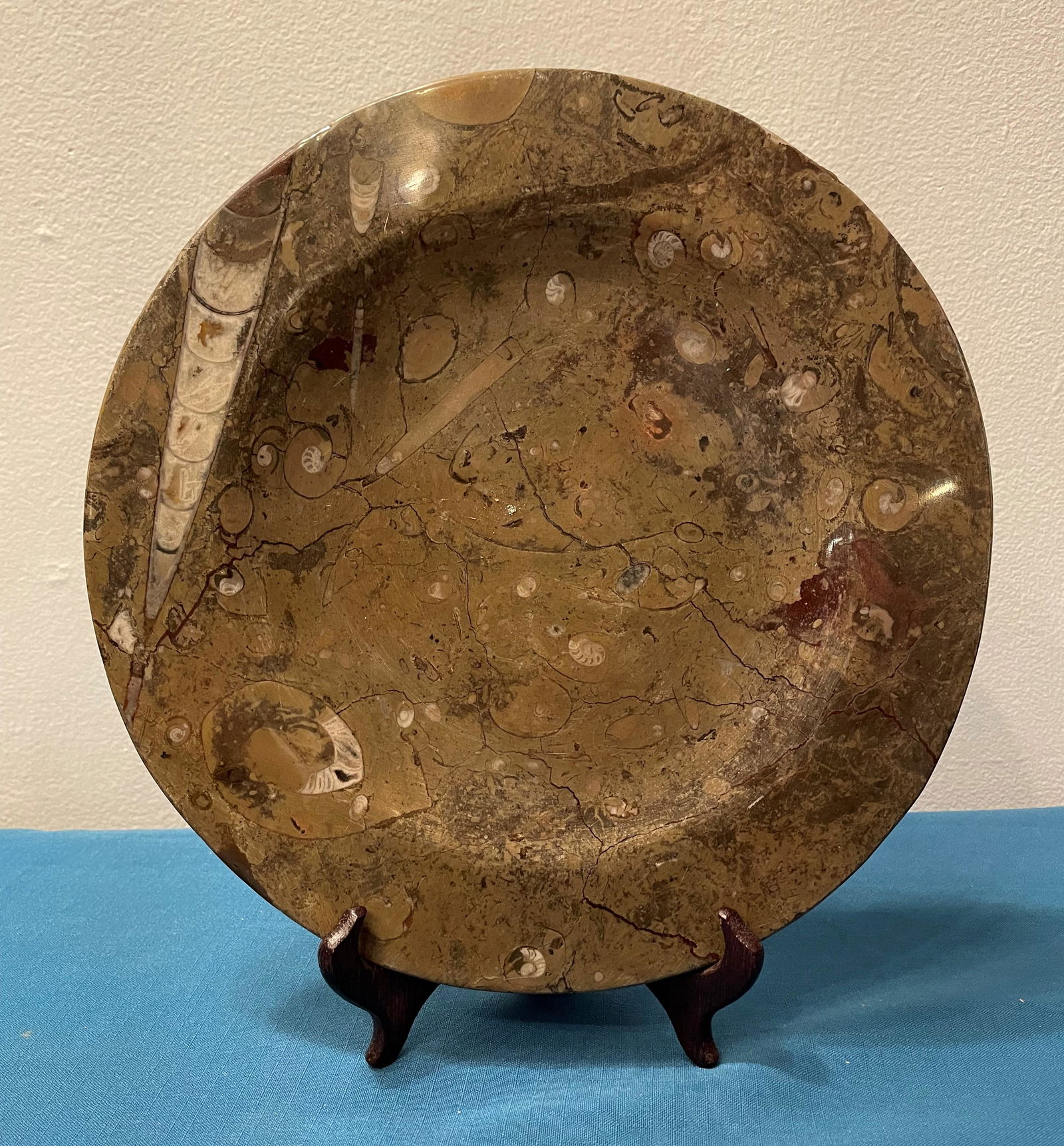 Marbleized Fossil Plate: 11.5 in diameter