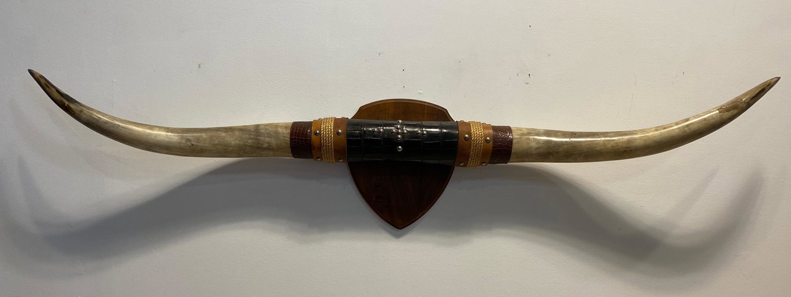 Large Texas Longhorn Steer Mount (1 of 4)