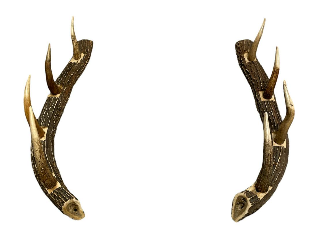 Old Antler Horn Gun Rack: 18 in h each 1.5 in wide, 4.25 in deep