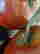 item-129171171=8