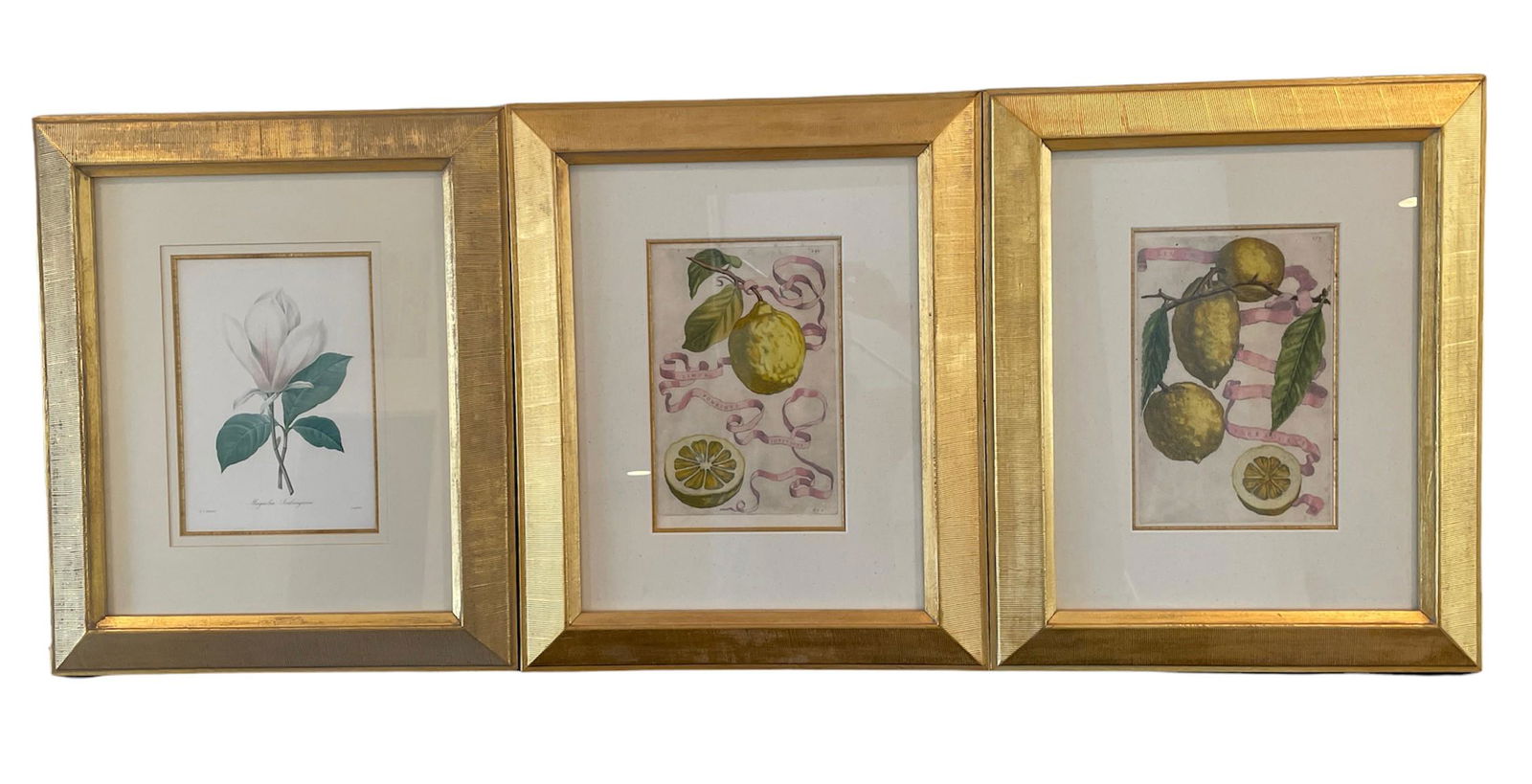 Three Botanical Prints (1 of 4)