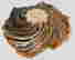 item-129594129=3