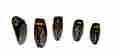 item-130930566=2