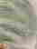 item-130930570=3