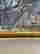 item-131329794=4