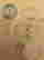 item-131329819=3