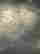item-131329831=7