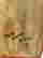 item-132928794=6