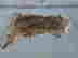 item-134062845=2