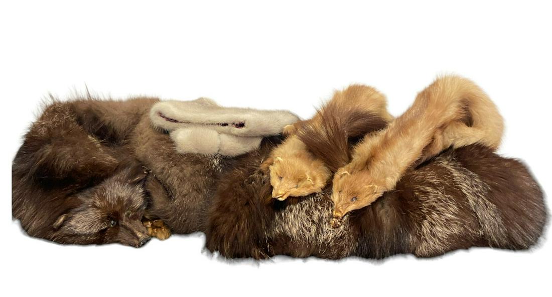 Collection 6 Vintage Ladies Fur Articles (1 of 6)