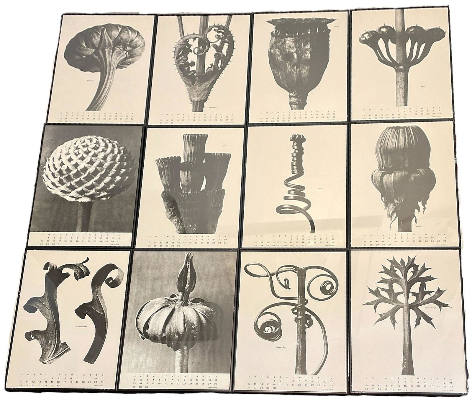 Rare COMME des GARCONS Flora and Fauna Recurring Calendar: each piece is 20.25 in L x 14.25 in W