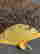 item-135809997=2