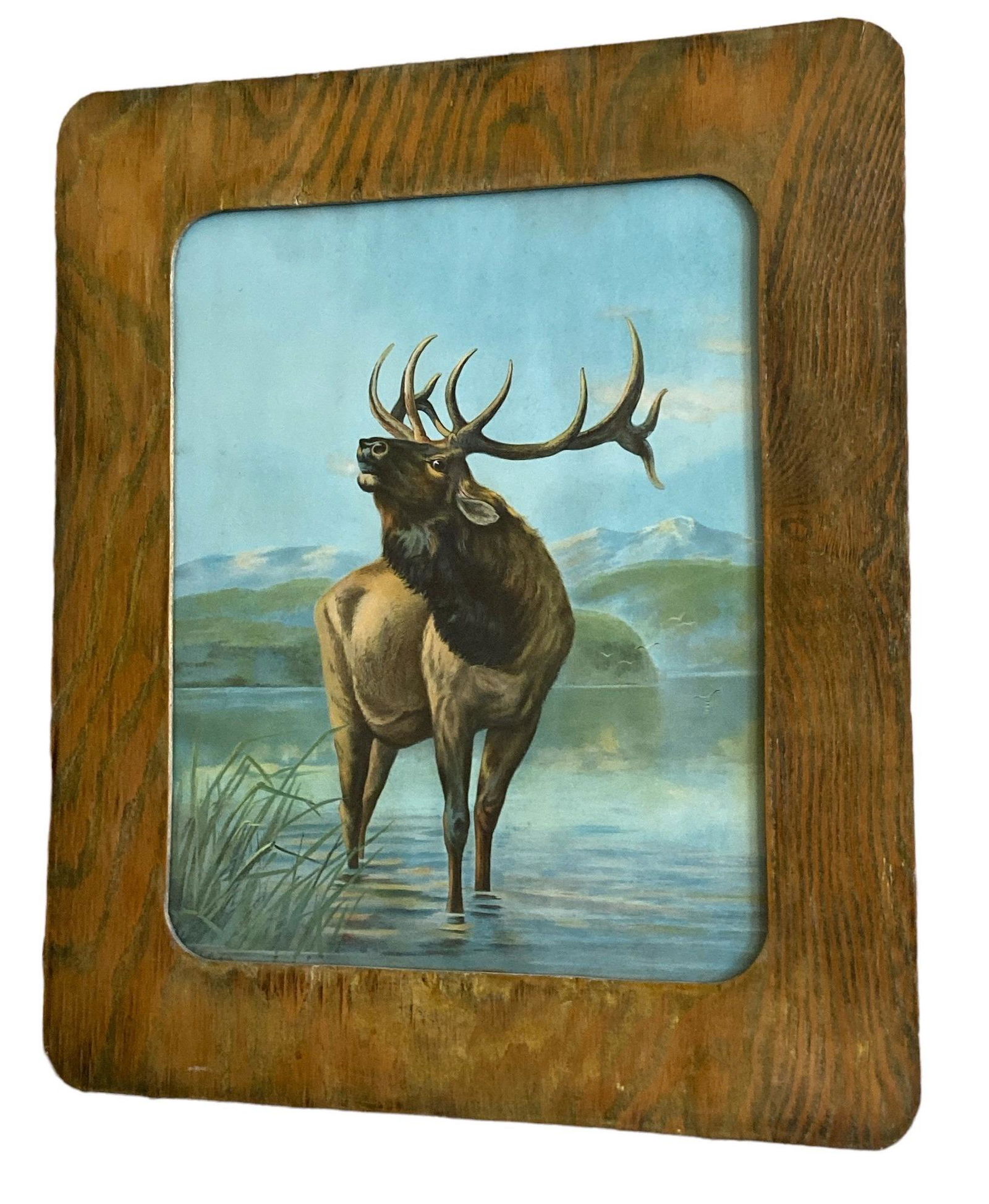 YELLOWSTONE Early 20th C Elk Print in Wood Frame (1 of 3)