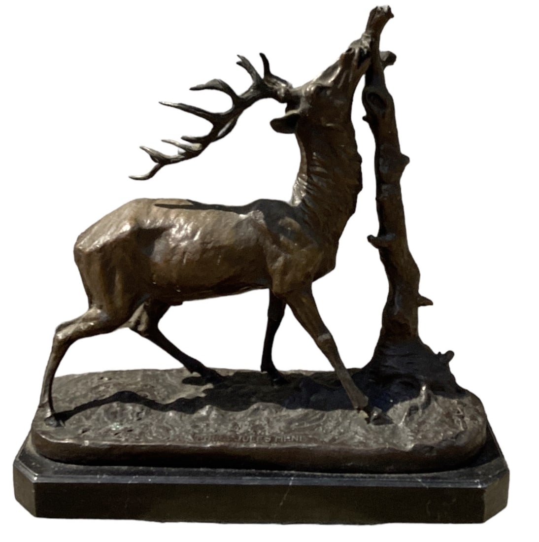 After PIERRE JULES MENE Bronze on Marble Elk Statue (1 of 4)