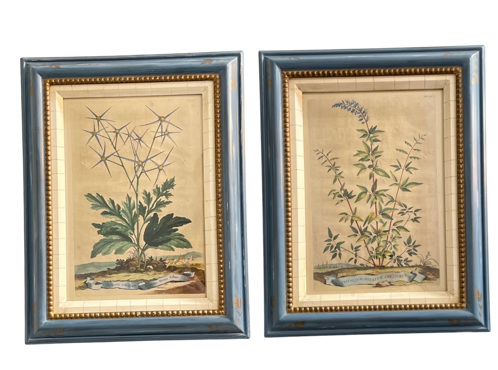 ABRAHAM MUNTING Botanical Prints, Pair (1 of 7)