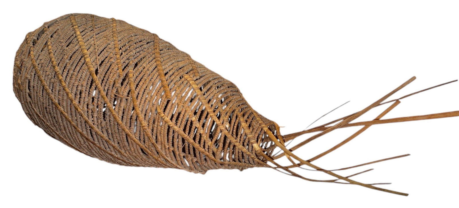 A South Pacific Island Fish Trap, Large (1 of 7)