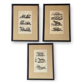 Three JOHN JOHNSON "Historiae Naturalis de Quadrupedibus Libri" Etching Prints