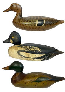 Three Painted Duck Decoys, Golden Eye: Goldeneye Drake Decoy measures 6" H x 6.5" W x 14.5" D, Green painted Mallard duck decoy measures 7" H x 5.5" W x 16" D, Mallard Hen duck decoy measures 7.5" H x 6" W x 17" D.