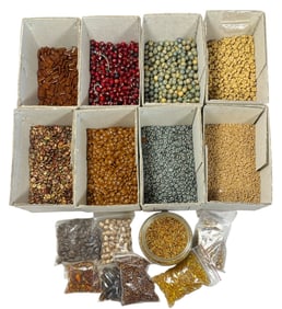Large Collection of Mid Century, Earth Toned Beads